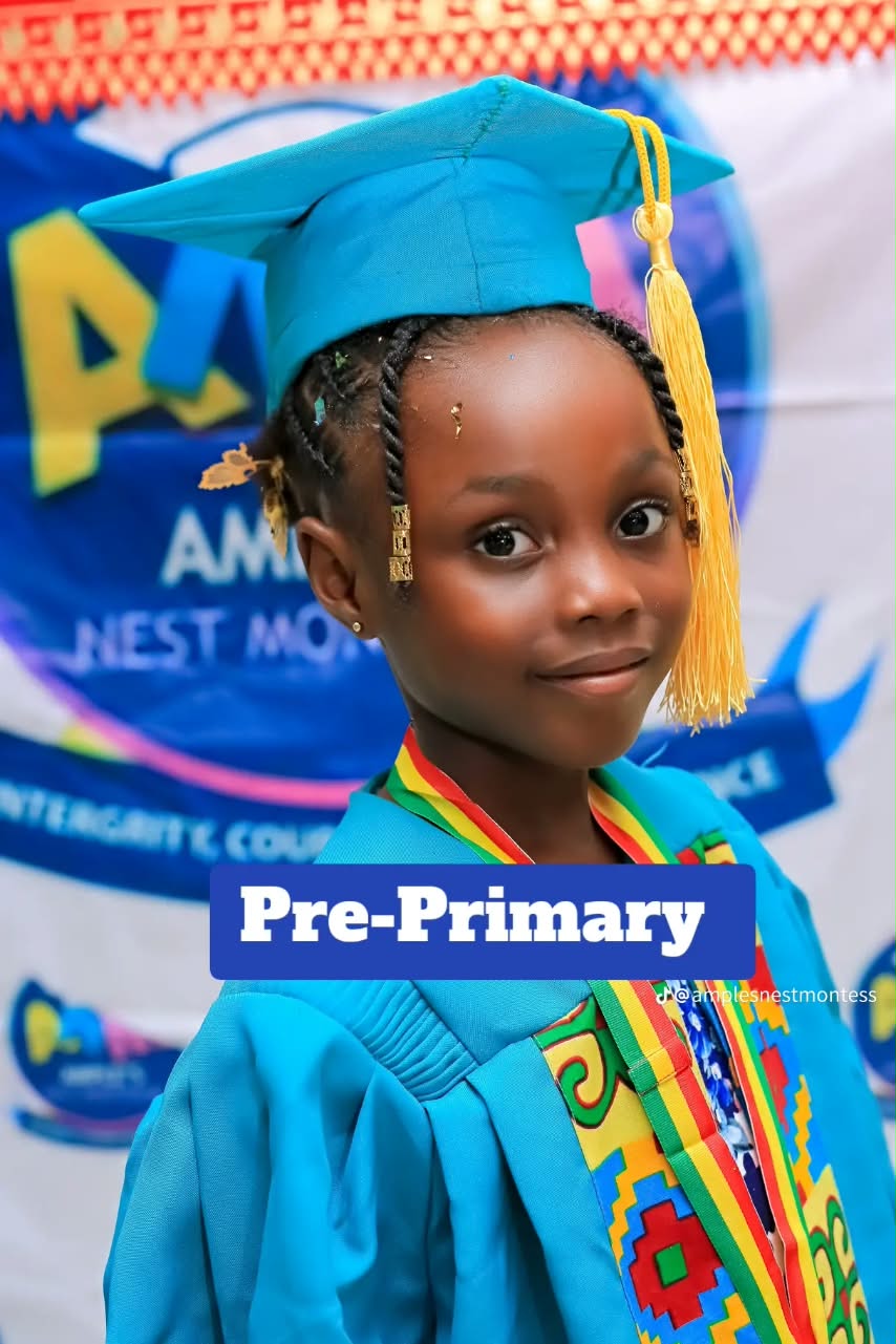 Primary Programme